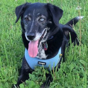 Meet your Posher, Tamara